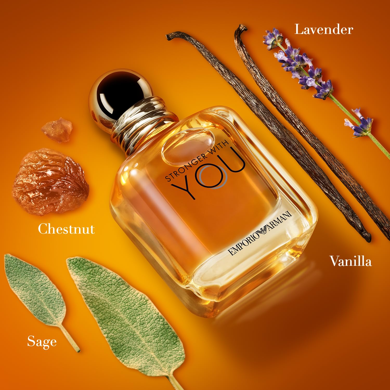 Armani Beauty - Stronger With You - Eau de Toilette - Colonia para Hombre - Fragancia picante cálida - Castaño, lavanda, salvia tierna, notas de vainilla