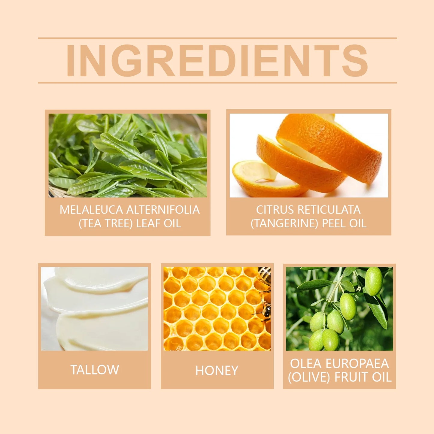 Honey and Tallow Moisturizing Cream for Face and Body - Firming and Nourishing